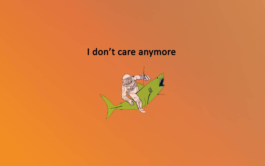 I Don't Care Anymore Shark Wallpaper