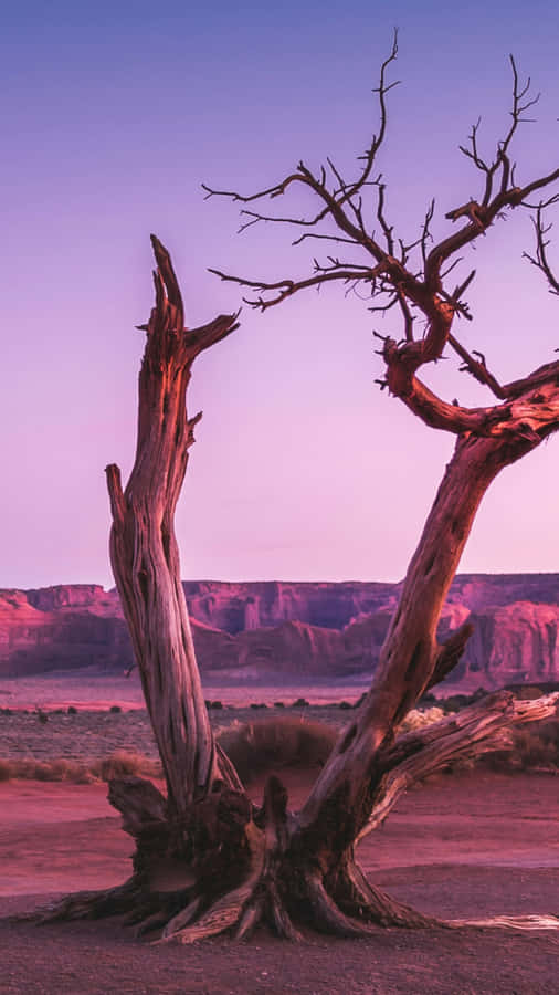 I Phone 16 Pro Landscape Mode Wallpaper