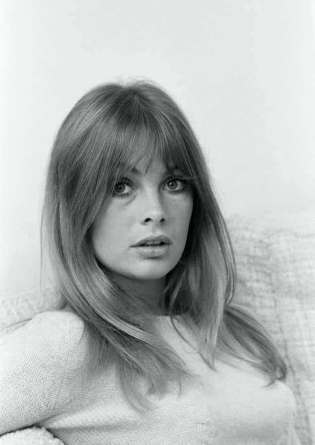 Iconic1960s Model Portrait Wallpaper