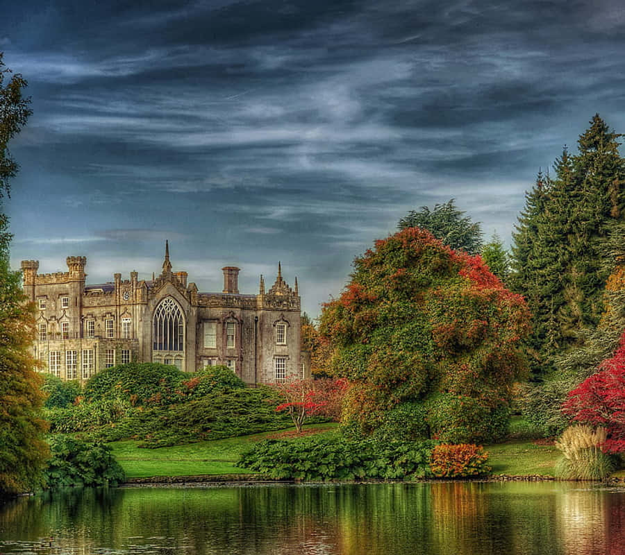 Idyllic Autumn Trees Wallpaper