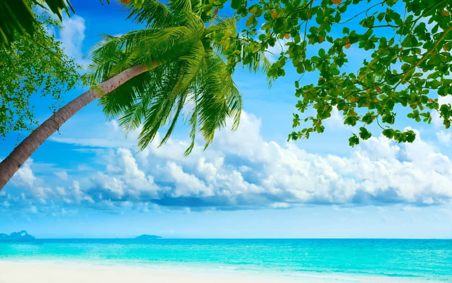 Idyllic Beach Resort Paradise Wallpaper