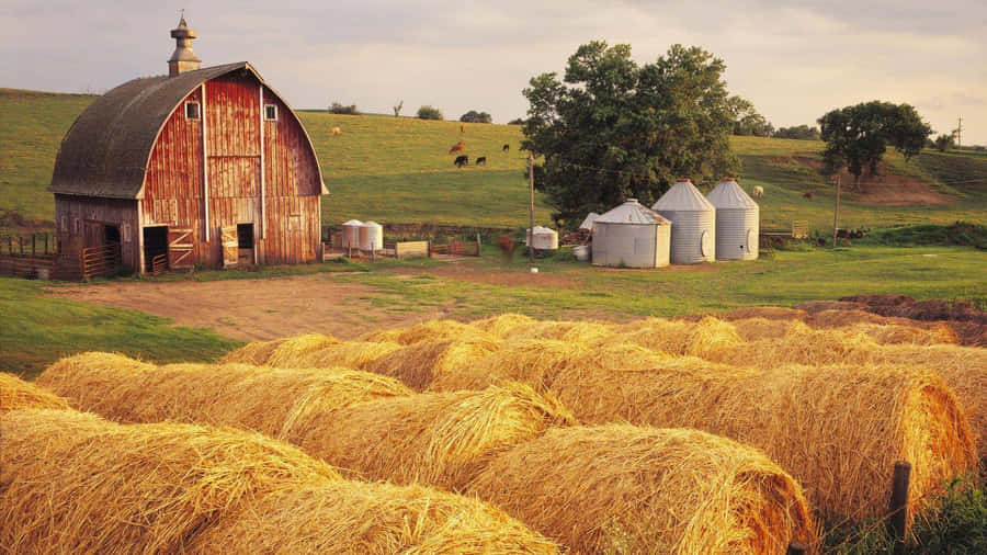 Idyllic_ Farm_ Scene_with_ Hay_ Bales Wallpaper