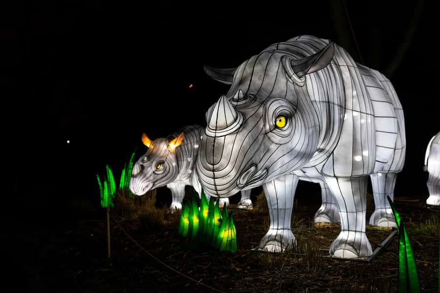 Illuminated Rhino Lanternsat Night Wallpaper