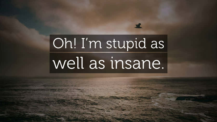 Im Stupid As Well As Insane Wallpaper