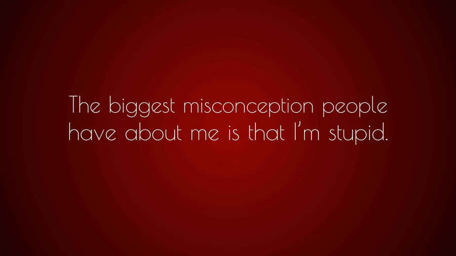 Im Stupid Misconception Wallpaper