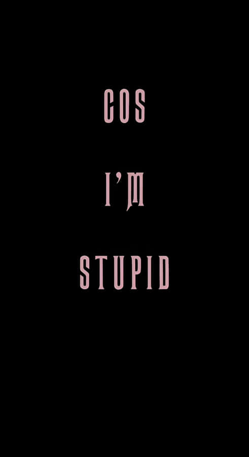 Im Stupid Quote Wallpaper