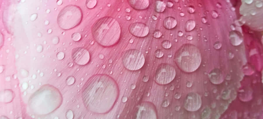 Image “an Aerial View Of The City Lights At Dusk” Wallpaper