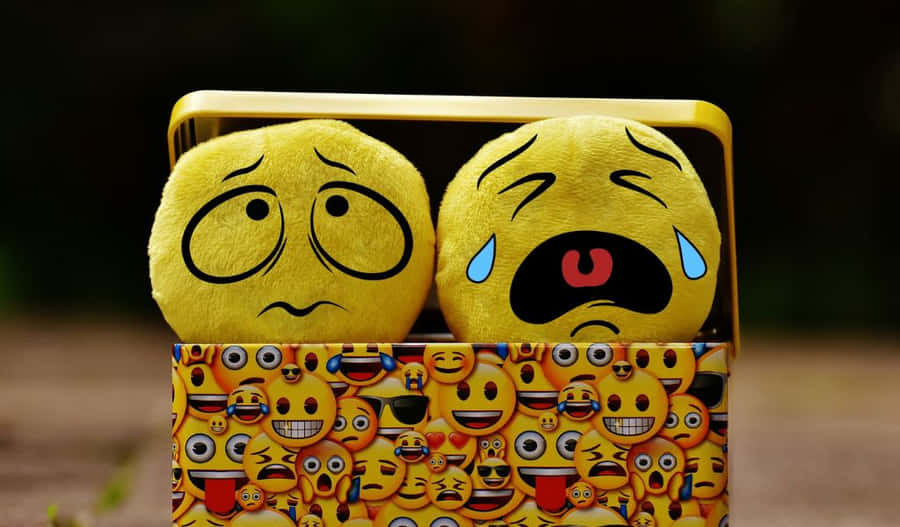 Image Beautiful Sunflower In A Blooming Meadow Wallpaper