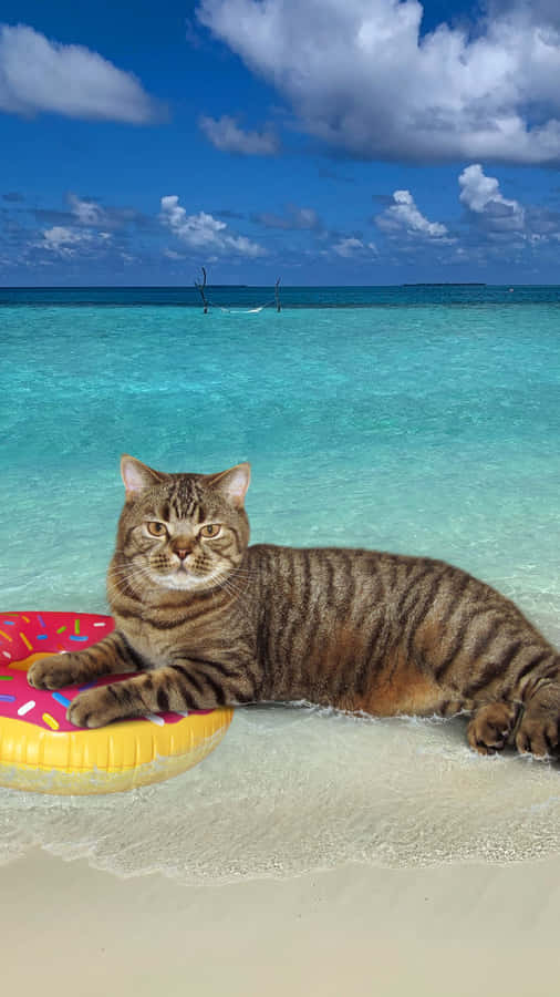 Image Glowing Full Moon At Night Wallpaper