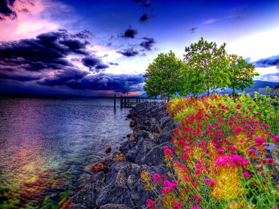 Image Music And Nature In Perfect Harmony Wallpaper