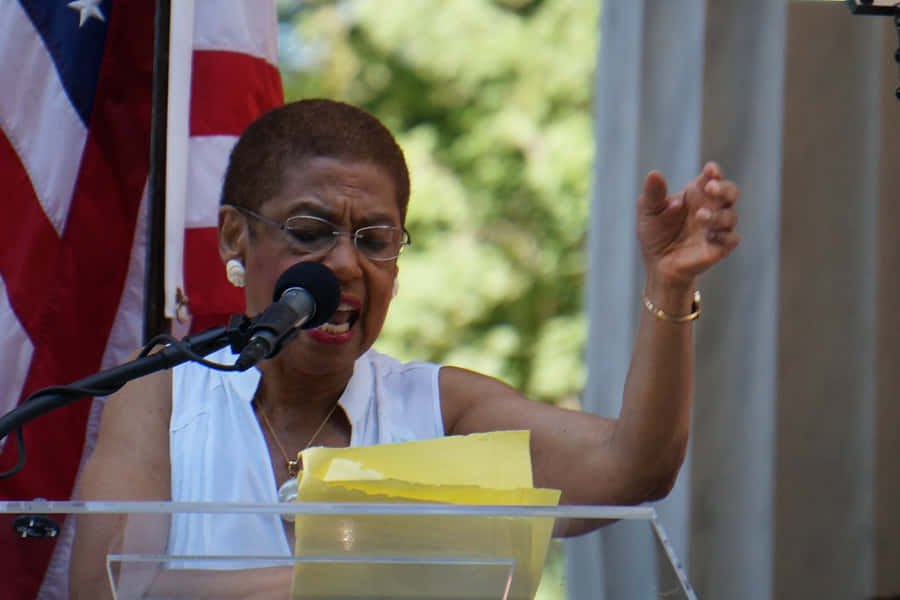 Image Of Eleanor Holmes Norton From Her Speech Wallpaper