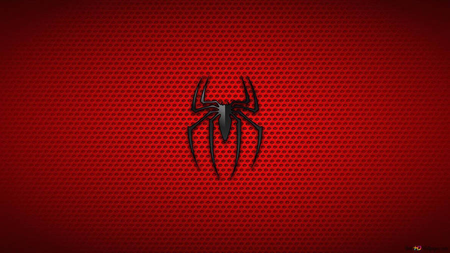 Image Spider-man Ready For Battle In Downtown City Wallpaper