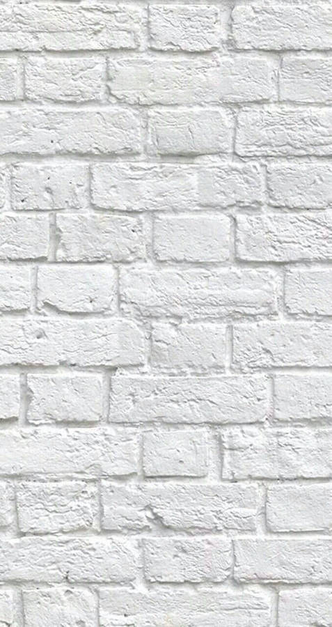 Image White Brick In Flemish Bond Pattern Wallpaper
