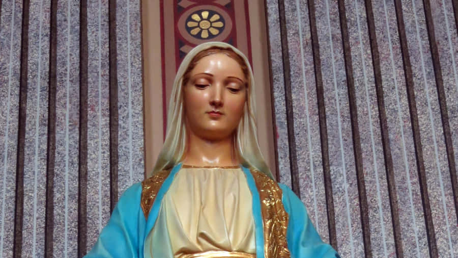Immaculate Mary Statue Looking Down Wallpaper
