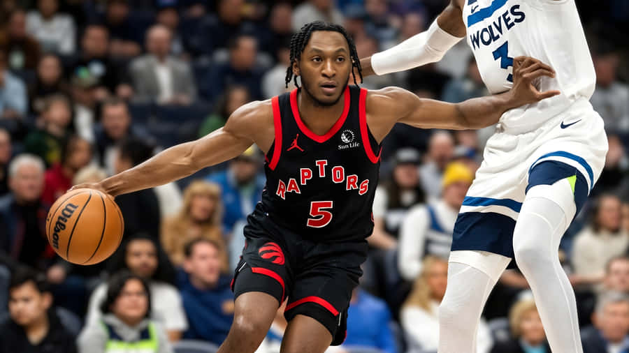 Immanuel Quickley Raptors Playmaker Wallpaper