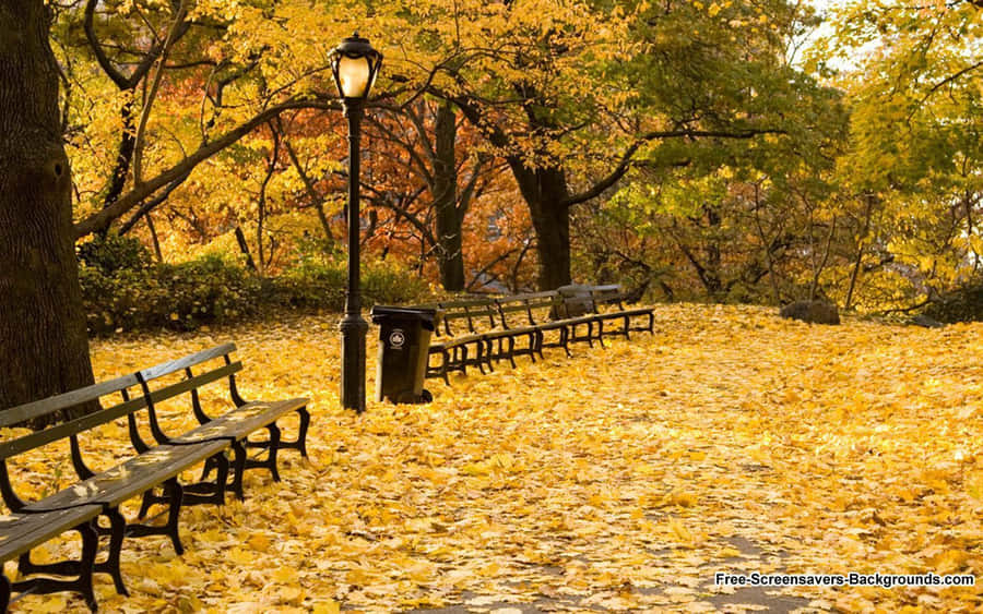 Immerse Yourself In The Colorful Beauty Of New England This Autumn. Wallpaper