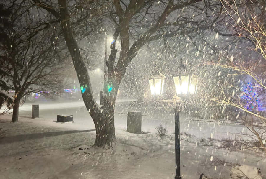 Imminent White Snowstorm Wallpaper