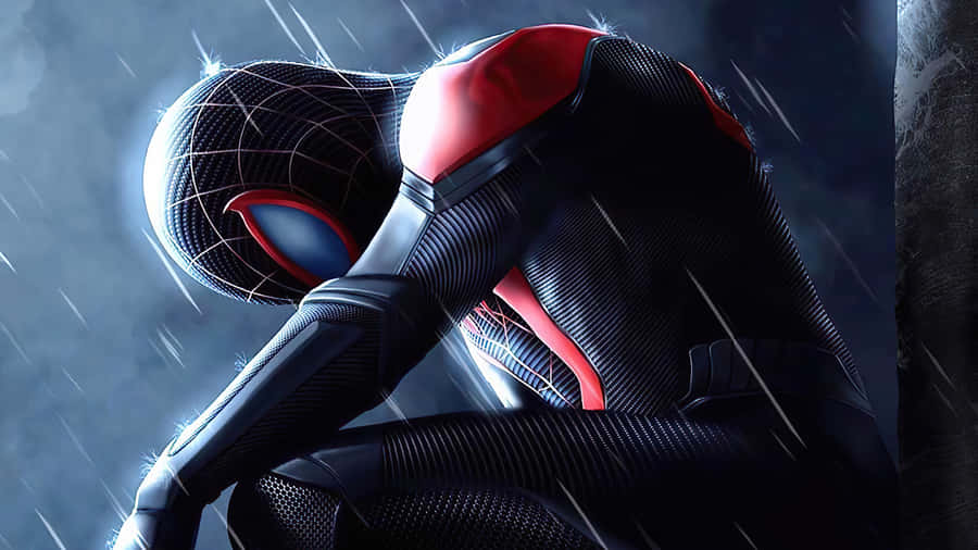 In Rain Spider Man Pfp Wallpaper