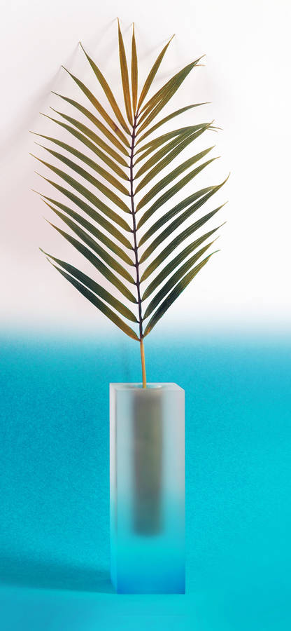 Incoming Summer Vibes! Wallpaper