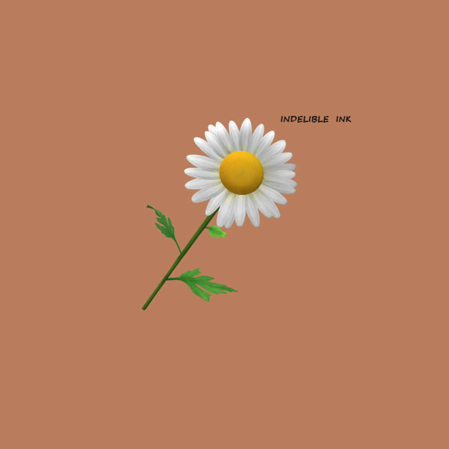 Indelible Ink Word And A Daisy Wallpaper