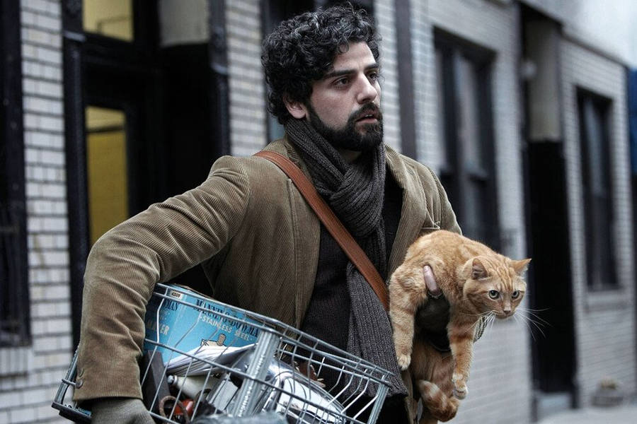 Inside Llewyn Davis With Cat Ulysses Wallpaper