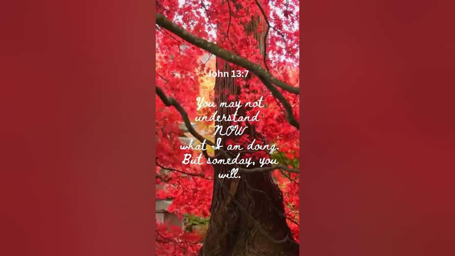 Inspirational Autumn Verse John137 Wallpaper