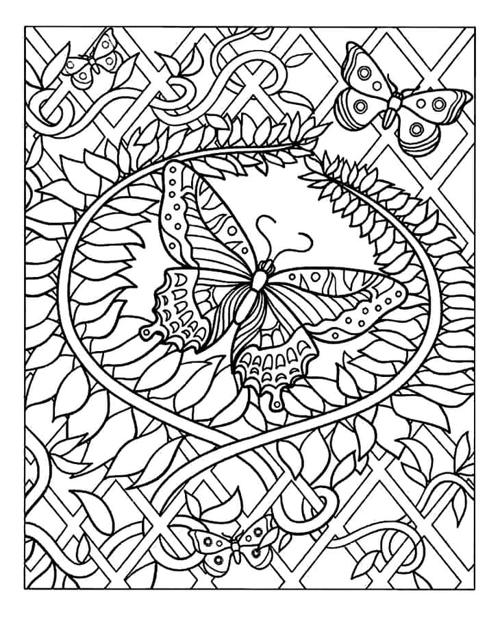 Intricate Butterfly Coloring Page Wallpaper