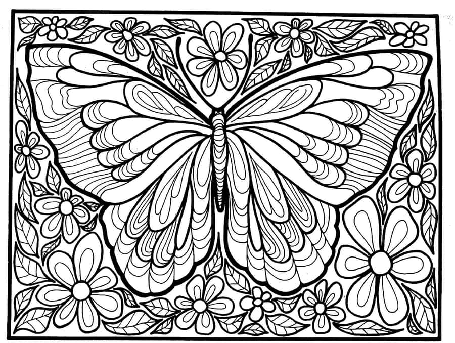 Intricate Butterfly Coloring Page Wallpaper