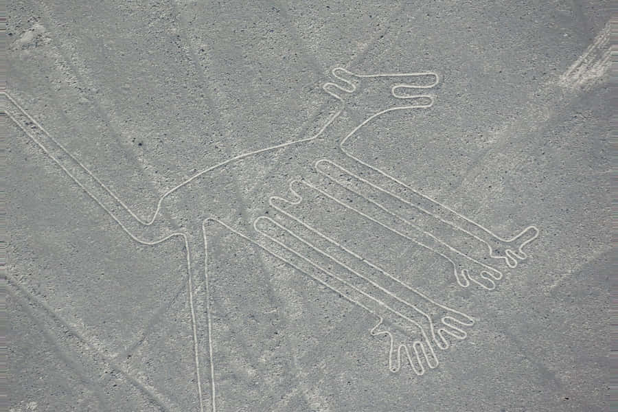Intriguing Arial View Of Nazca Lines Wallpaper