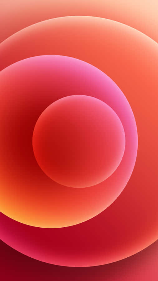 Iphone 16 Pro Max Display Wallpaper