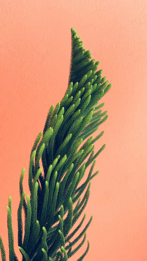 Iphone 16 Pro Max Macro Photography Wallpaper