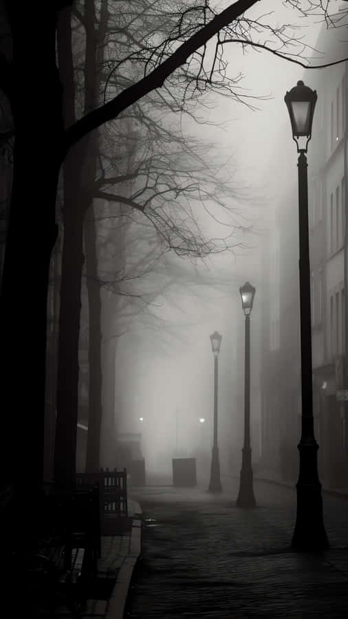 Iphone 16 Pro Night Mode Wallpaper