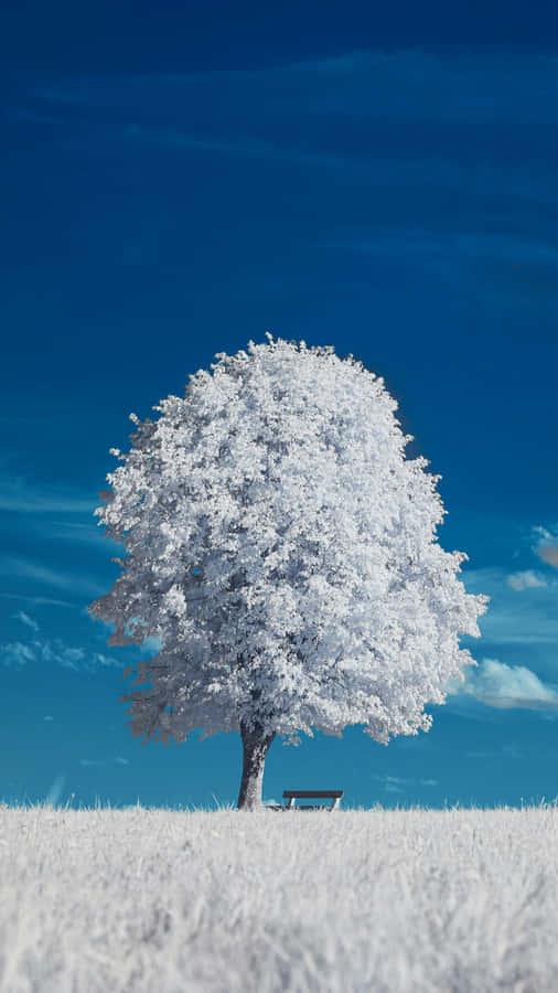 Iphone 16 Pro Stunning Nature Capture Wallpaper