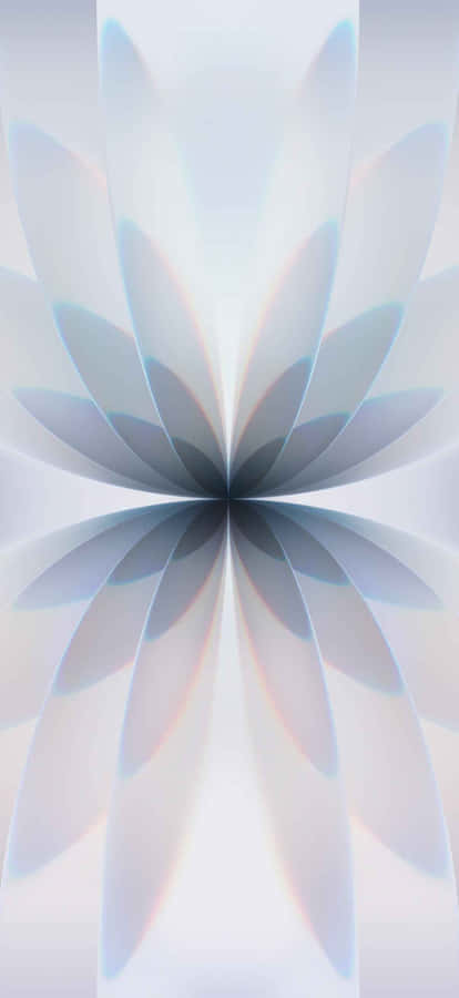 Iphone 17 1206 X 2622 Wallpaper Wallpaper