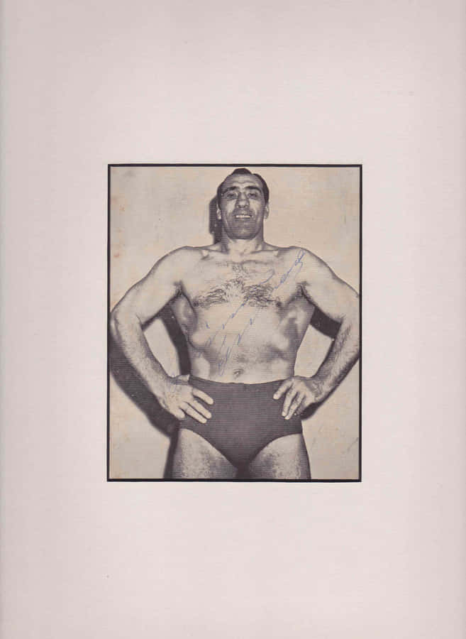 Italian Professional Boxer Primo Carnera Minimalist Art Wallpaper