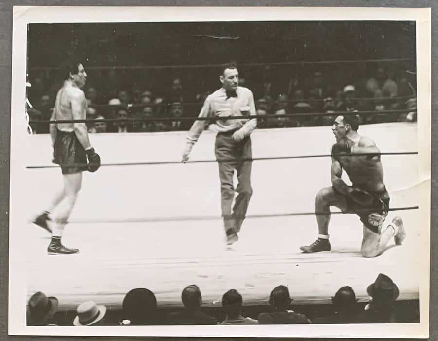 Italian Professional Boxer Primo Carnera Taking A Knee 1934 Wallpaper
