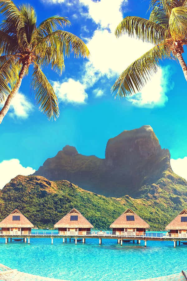 It’s Paradise On Earth: Bora Bora Wallpaper