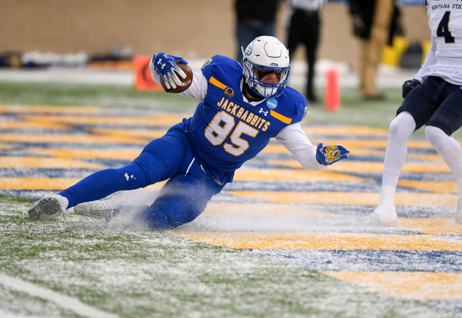 Jackrabbits Football Player Diving Catch Wallpaper
