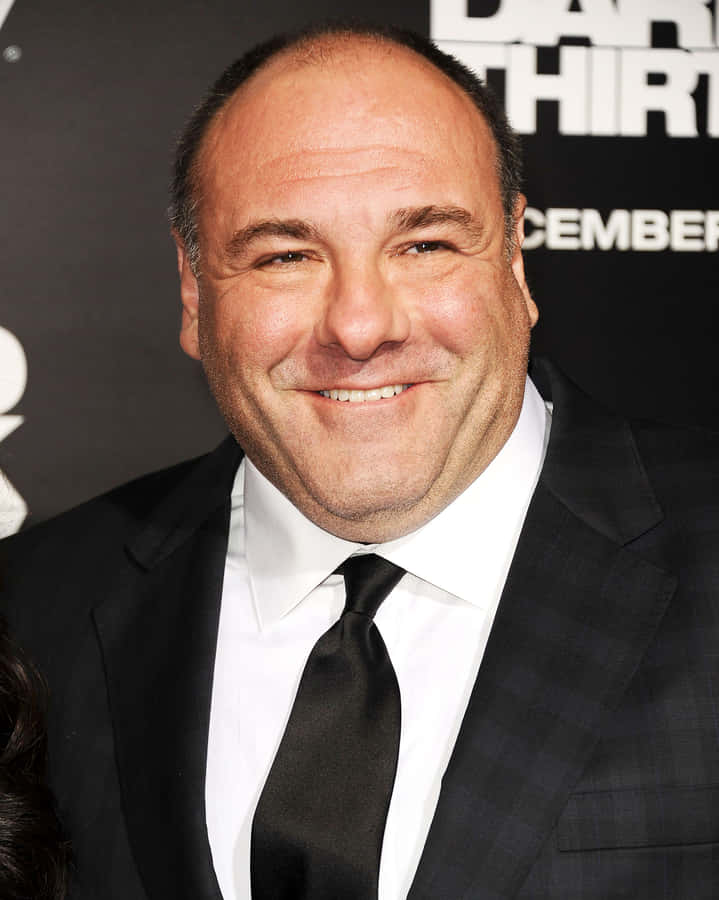 James Gandolfini 2398 X 3000 Wallpaper