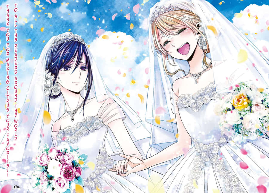 Japanese Citrus Anime Wedding Wallpaper