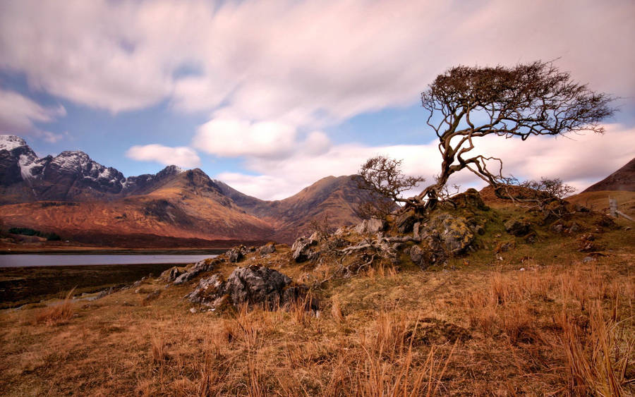 Jaw-dropping Views Of Brown Mountain Wallpaper