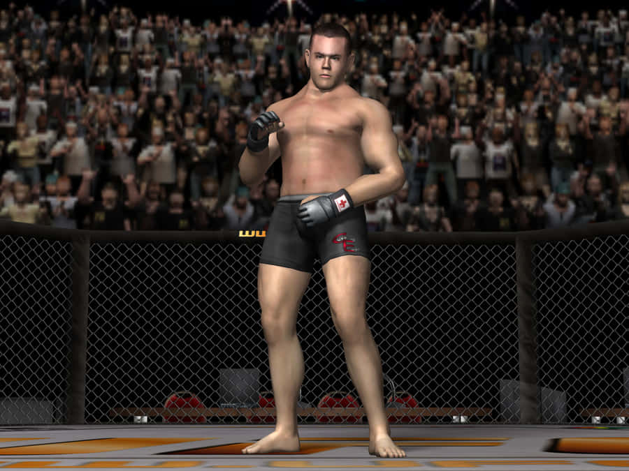 Jeremy Horn Mma 3d Game Simulation Wallpaper