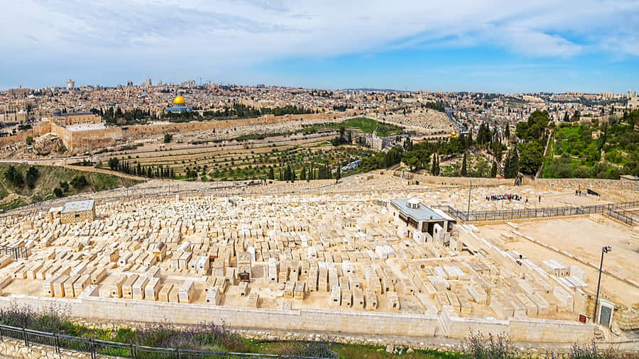 Jerusalem Mountof Olives Panorama Wallpaper