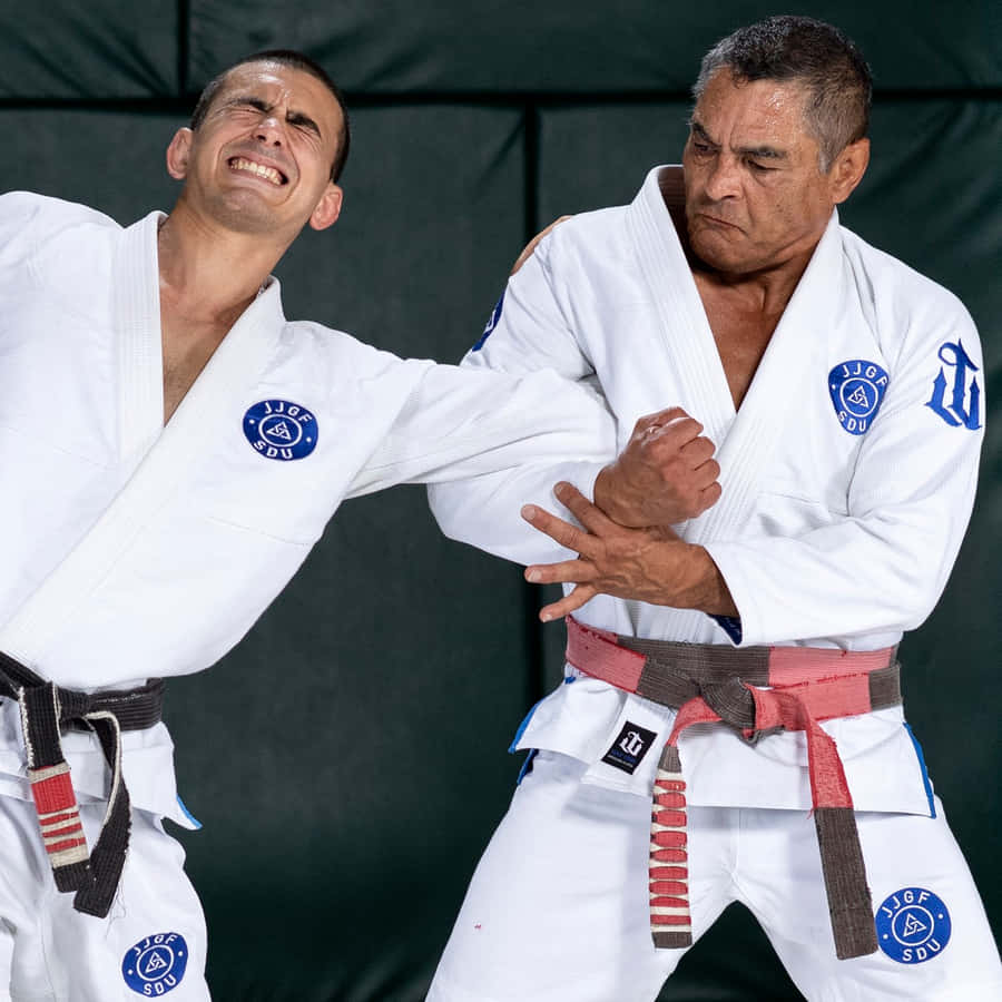 Jiu Jitsu Masters Training Session Wallpaper
