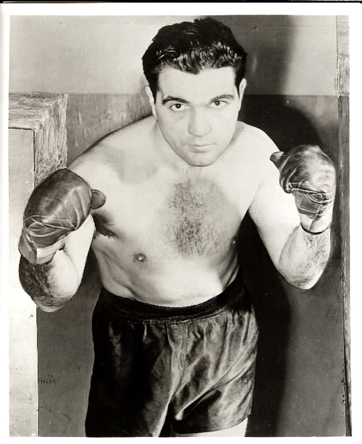 Joey Maxim Chest Hair Wallpaper