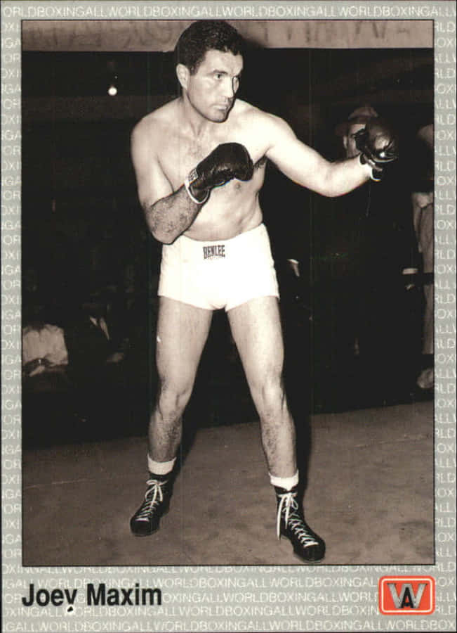 Joey Maxim White Shorts Wallpaper