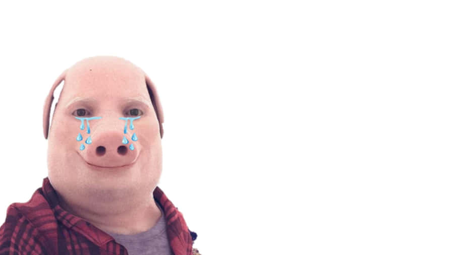 John Pork Crying Meme Wallpaper