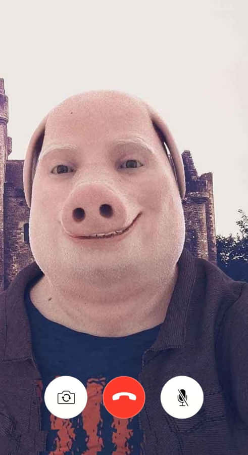 John Pork Face Filter Wallpaper