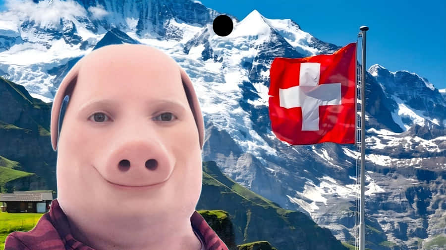 John Pork In Swiss Alps Wallpaper