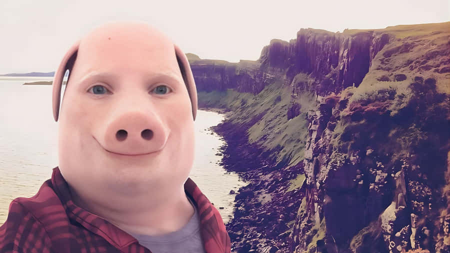 John Pork Scenic Landscape Wallpaper